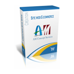 Pack Site Web E Commerce